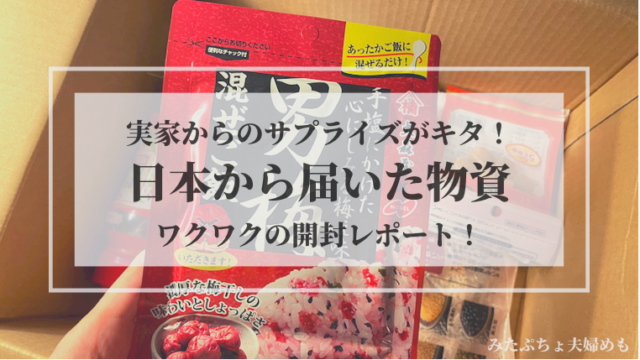 外出禁止 自宅で出来る暇つぶし８選 おうち時間 みたぷちょ夫婦めも